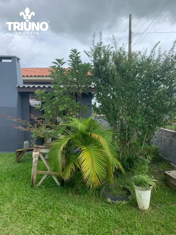 Araranguá - Código: 272